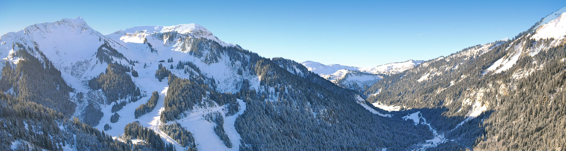 bandeau-haut